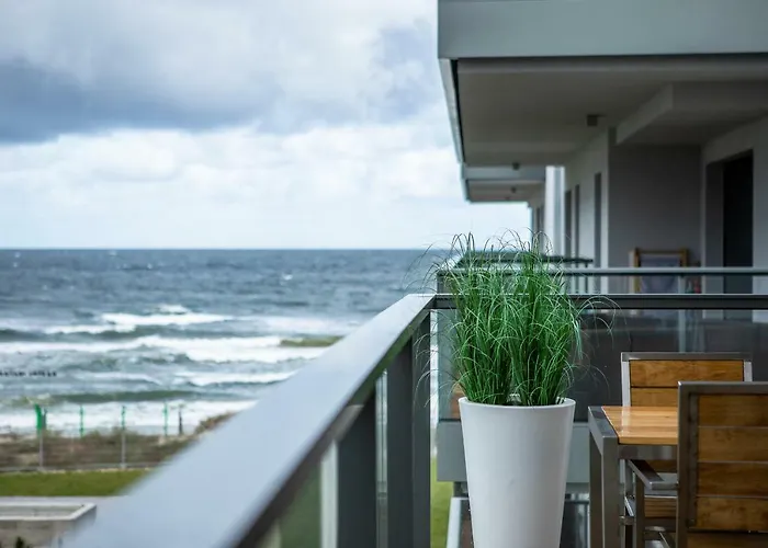 Blue Port Gardenia *